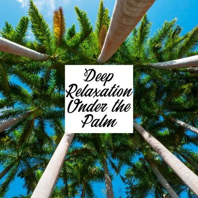 Deep Relaxation Under the Palm 專輯 Summer Pool Party Chillout Music/Sunset Chill Out Music Zone/Relaxing Instrumental Jazz Academy