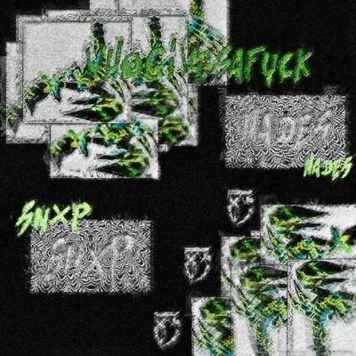 WHO GIVES A F*** 專輯 SNXP/Slit Sanity/Tarxan/Fury/HOLY 6HOST