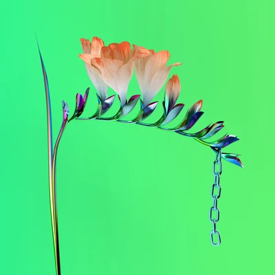 Flume Skin Companion EP I