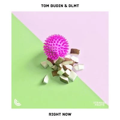 Right Now 專輯 Tom Budin