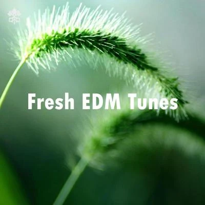 DripiceDogena Fresh EDM Tunes