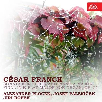 Franck: Sonata for Violin and Piano A Major, Final in B Flat Major for Organ, Op. 21 專輯 Alexander Plocek