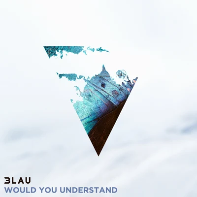 Would You Understand 專輯 3LAU