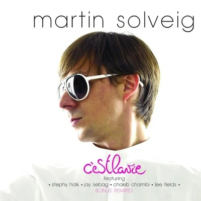 Martin Solveig Cest La Vie