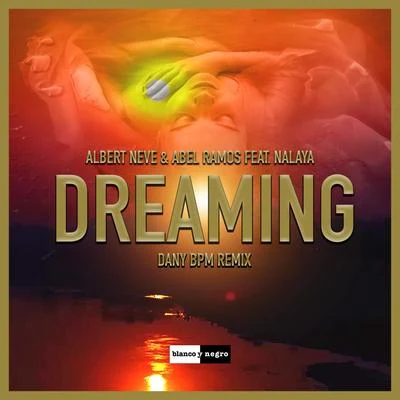 Dreaming (Dany BPM Remix) 專輯 Abel Ramos/Erire