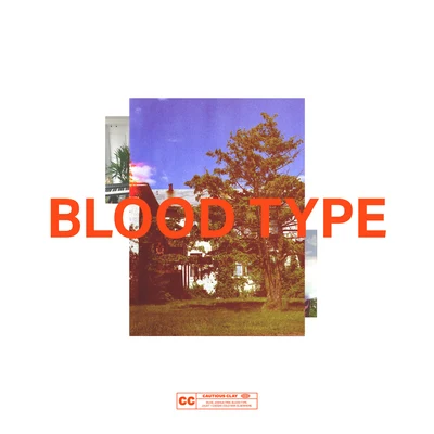 Blood Type 專輯 Cautious Clay/Sébastien Tellier/Morgan Phalen/Kavinsky