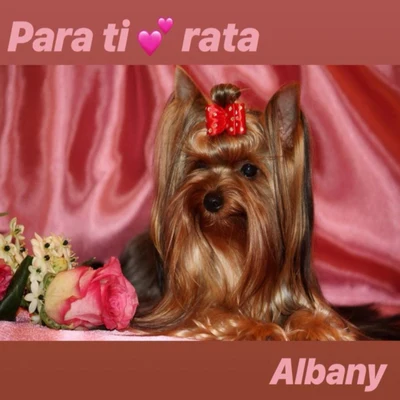 Para Ti Rata 專輯 Albany/La Zowi/Pipo Beatz