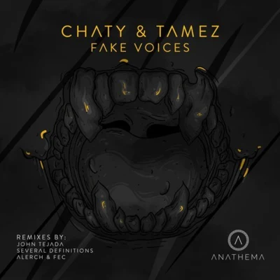 Fake Voices 專輯 Jimmy Van M/Chaty/D.Y.A/Melokolektiv/Affkt