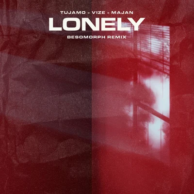 Lonely (Besomorph Remix) 专辑 VIZE