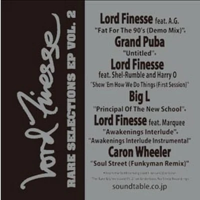 Lord FinesseChannel LiveDJ Cam Rare Selections EP Vol. 2