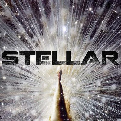 Solitaire 專輯 Stellar