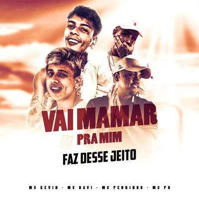 Vai mamar pra mim, Faz desse Jeito 專輯 Mc Davi/Mc Du/Hugo CNB/Mc Magal/Mc Kelvinho