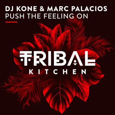 Dj KoneAlaia & Gallo Push the Feeling On