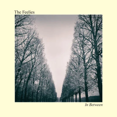 In Between 专辑 The Feelies