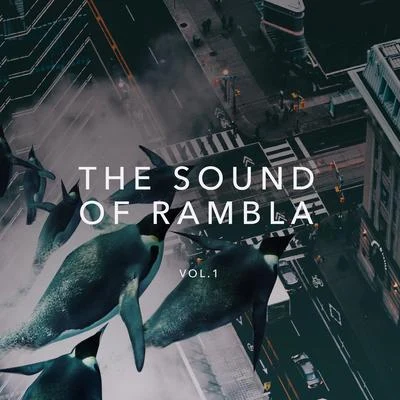 RoondabitHavoc & Lawn The Sound of Rambla, Vol. 1