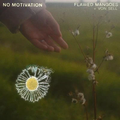 No Motivation 專輯 flawed mangoes