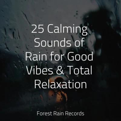 Nursery RhymesNursery Rhyme InstrumentalsBaby Songs Academy 25 Calming Sounds of Rain for Good Vibes & Total Relaxation