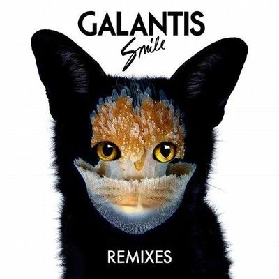 Smile (Remixes) 专辑 Japaroll/Galantis