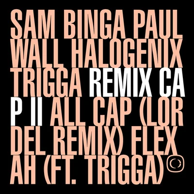 If The Cap Fits: Remixed Part. 2 專輯 Trigga/Abstrakt Sonance