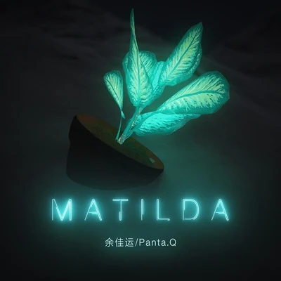 MATILDA 专辑 余佳运