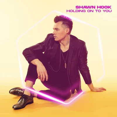 Shawn Hook Holding On To You