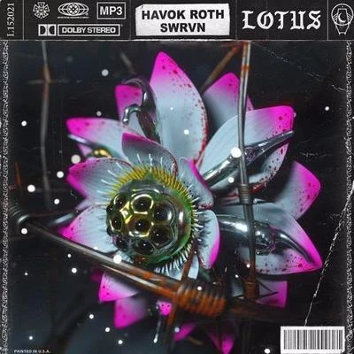 Lotus 專輯 Havok Roth