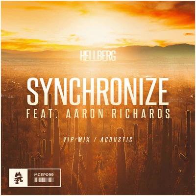 Synchronize (VIP MixAcoustic) 專輯 Rich Edwards/Hellberg/Jonny Rose