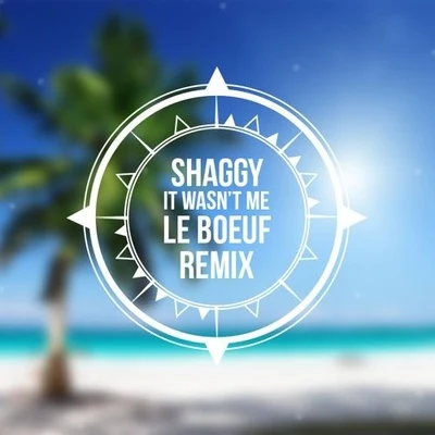 Le Boeuf It Wasn&#x27;t Me (Le Boeuf Remix)