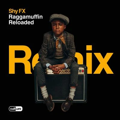 Call Me (feat. Maverick Sabre) [Acoustic Remix] 專輯 Shy FX