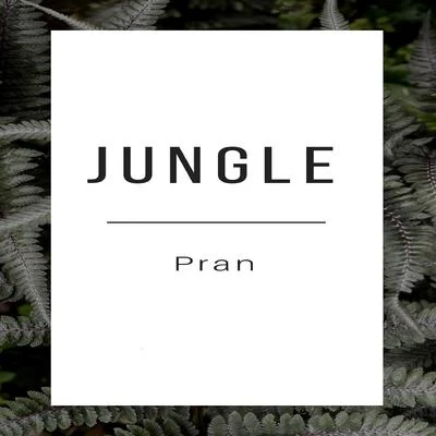 Jungle 专辑 Pran