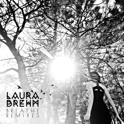 Breathe EP Remixes 专辑 Laura Brehm/Hollidayrain