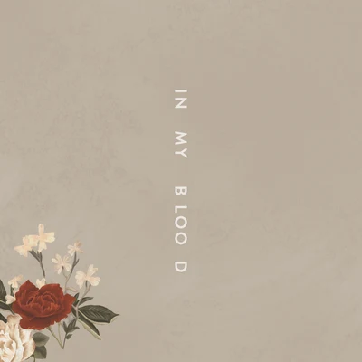 In My Blood 專輯 Shawn Mendes