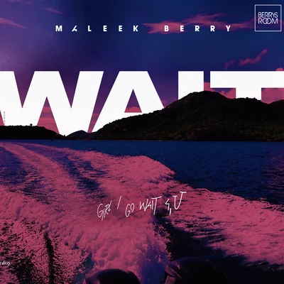 Wait 專輯 Maleek Berry