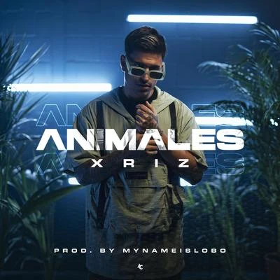 Animales 專輯 Xriz