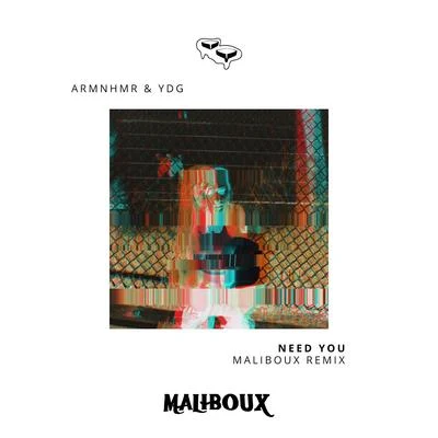 ARMNHMR Need You - The Remixes