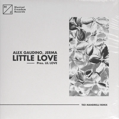 Lil' Love Little Love (pres. Lil&#x27; Love) [Teo Mandrelli Remix]