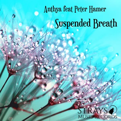 Peter HamerAnthya Suspended Breath