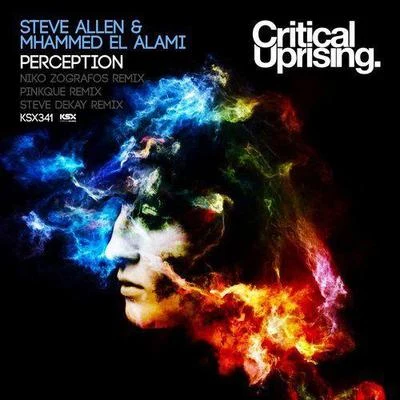 Steve Allen Perception