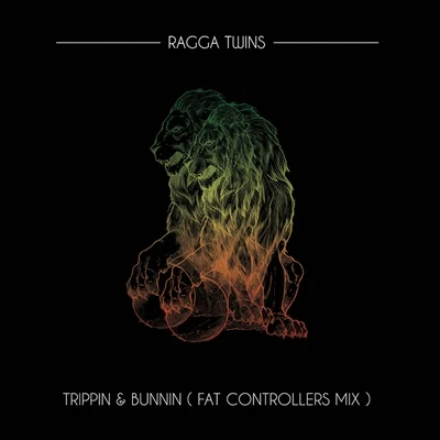 Trippin & Bunnin (Fat Controller Mix) 专辑 Ragga Twins/Aky