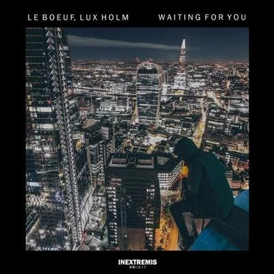 Waiting For You (Lux Holm Remix) 专辑 Lux Holm/Rivo/Tribe Dive