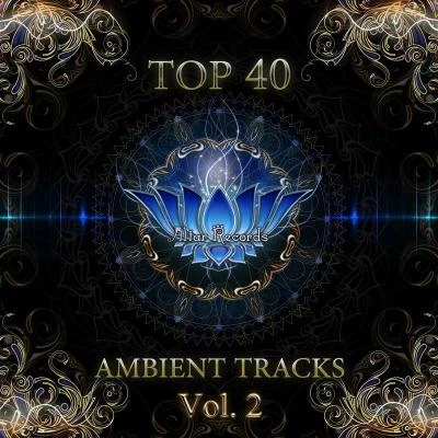 TOP 40 AMBIENT TRACKS VOL. 2 专辑 MIC