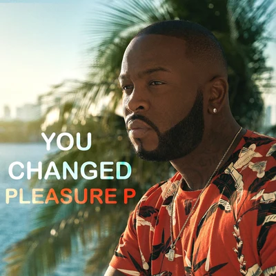 You Changed 專輯 Pleasure P