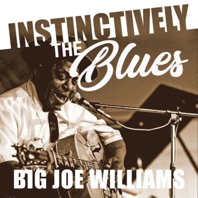 Big Joe Williams Instinctively the Blues - Big Joe Williams