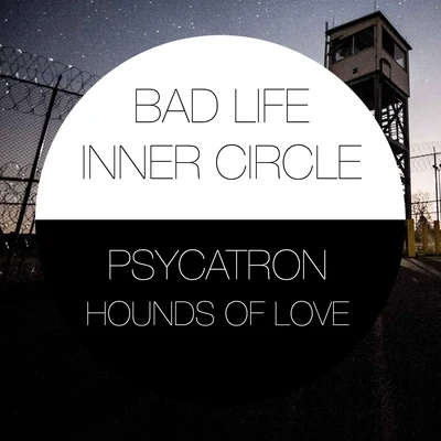 Psycatron Presents Hounds of Love 專輯 psycatron/Luigi Madonna/Mauro Picotto/Tomy DeClerque/Riccardo Ferri