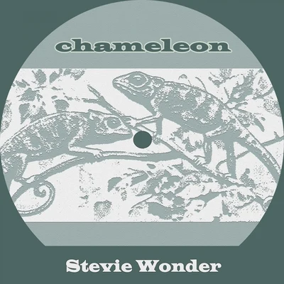 Stevie Wonder Chameleon