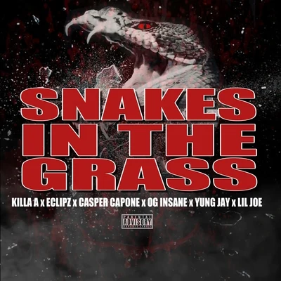 Snake in the Grass (feat. Eclipz, OG Insane, Lil Joe & Yung Jay) 专辑 Casper Capone/Lou E Slicc/Namelezz/Boogie Locz/40 Cal