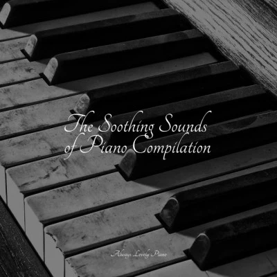 The Soothing Sounds of Piano Compilation 專輯 PianoDreams/Chill Out Music Cafe/Baby Sleep Music