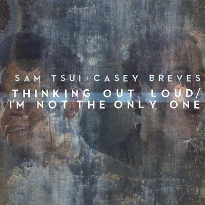 Thinking out LoudIm Not the Only One 专辑 Casey Breves