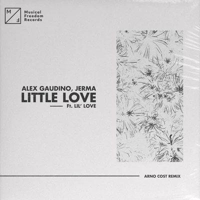 Little Love (feat. Lil&#x27; Love) [Arno Cost Remix] 专辑 Alex Gaudino