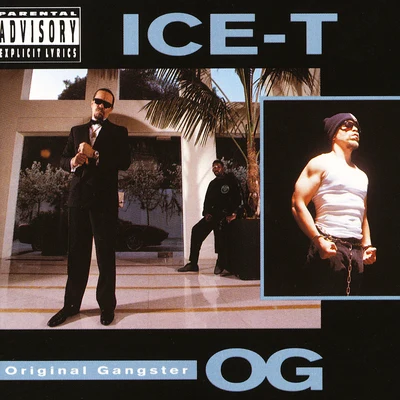 The Complete Sire Albums 1987 - 1991 專輯 Ice T